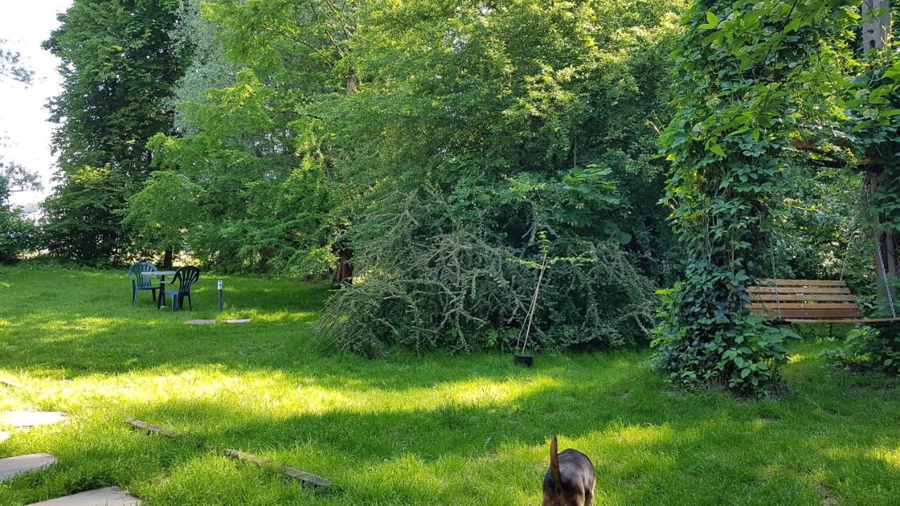 Gospodarstwo Agroturystyczne Stary Mlyn Wilczkowice ミハウォビツェ エクステリア 写真