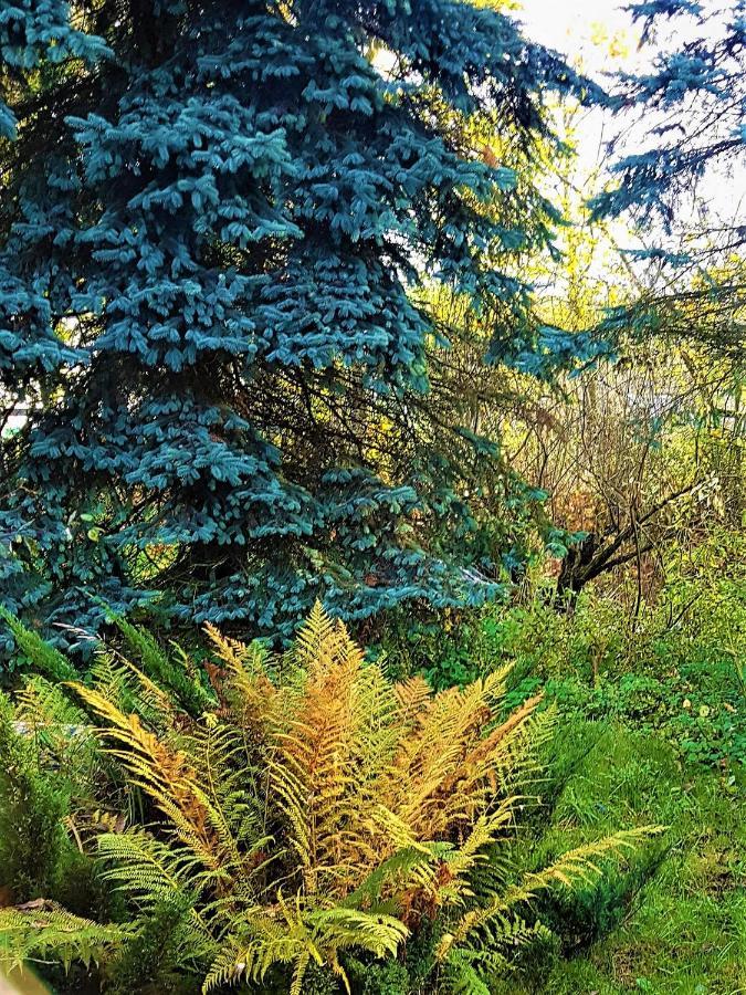 Gospodarstwo Agroturystyczne Stary Mlyn Wilczkowice ミハウォビツェ エクステリア 写真