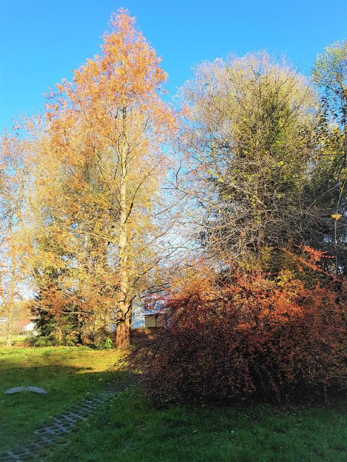 Gospodarstwo Agroturystyczne Stary Mlyn Wilczkowice ミハウォビツェ エクステリア 写真