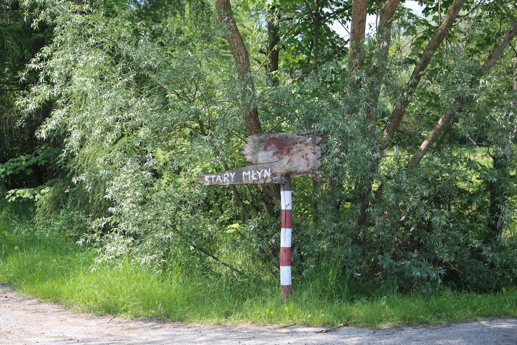 Gospodarstwo Agroturystyczne Stary Mlyn Wilczkowice ミハウォビツェ エクステリア 写真
