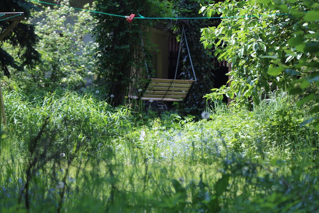 Gospodarstwo Agroturystyczne Stary Mlyn Wilczkowice ミハウォビツェ エクステリア 写真
