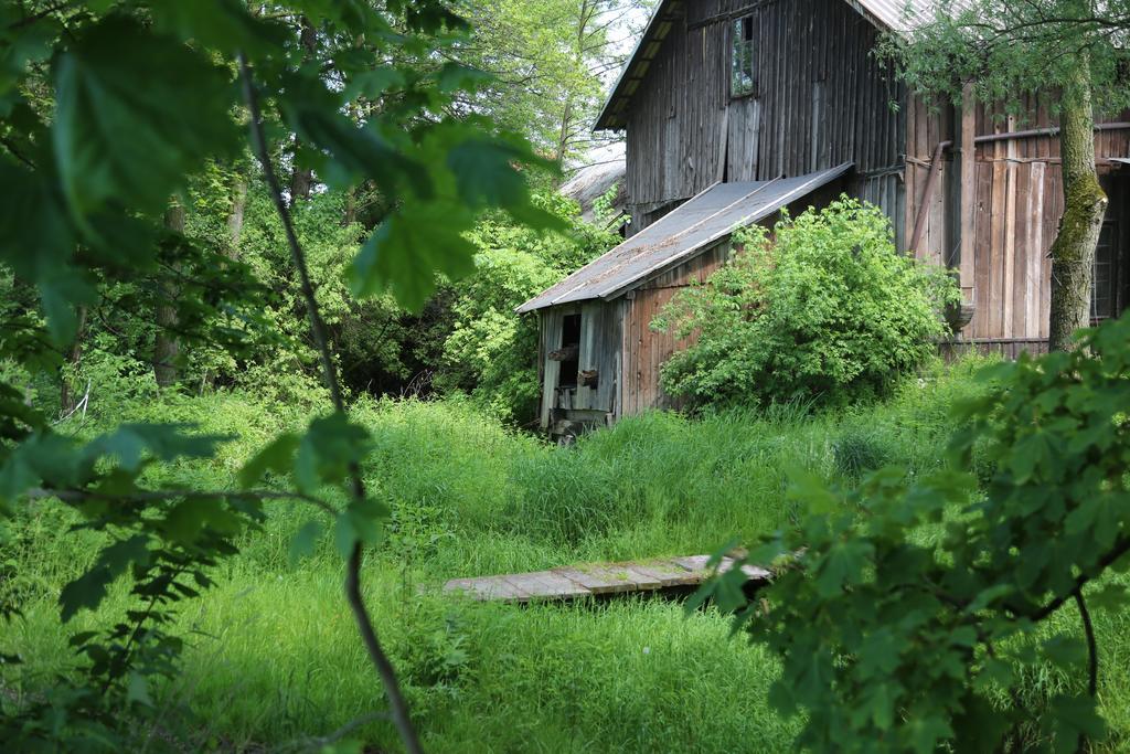 Gospodarstwo Agroturystyczne Stary Mlyn Wilczkowice ミハウォビツェ エクステリア 写真