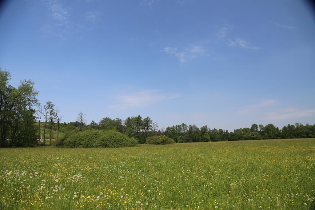 Gospodarstwo Agroturystyczne Stary Mlyn Wilczkowice ミハウォビツェ エクステリア 写真