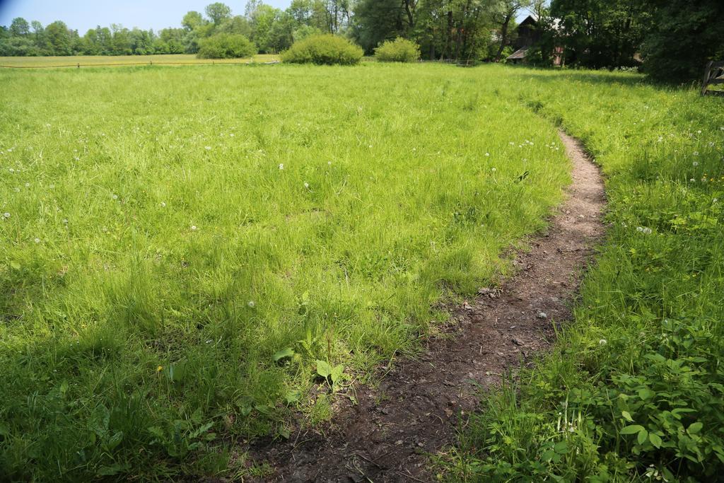 Gospodarstwo Agroturystyczne Stary Mlyn Wilczkowice ミハウォビツェ エクステリア 写真